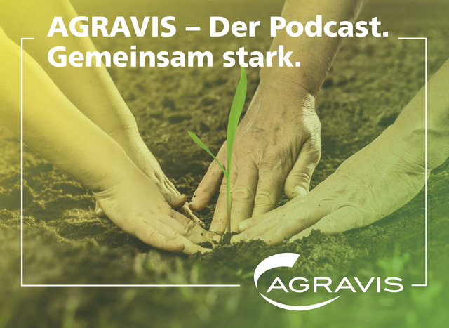 AGRAVIS-Podcast im Juli: Zwischenfrüchte anbauen – Lohnt sich das?