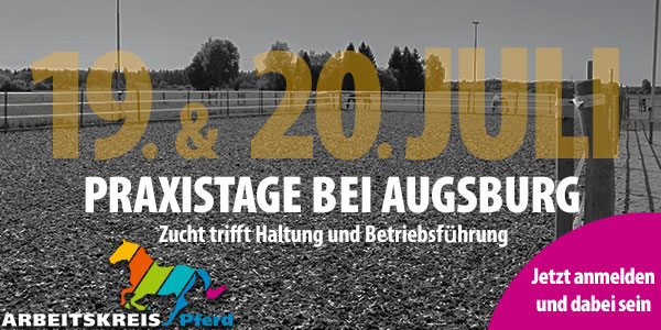 Pferdezucht trifft Betriebsführung und Haltung