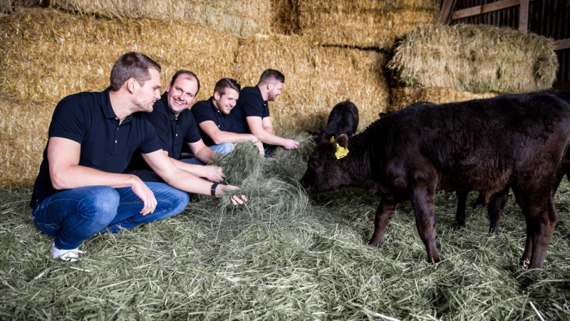 Wagyu-Rinderzucht als profitable Alternative zu Dumpingpreisen und Massentierhaltung