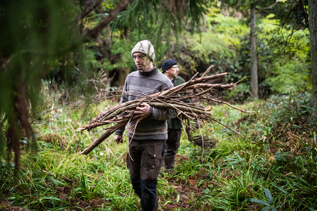 Ist Holzsammeln im Wald erlaubt? – Aktuelle Verbraucherfrage der ERGO Rechtsschutz Leistungs-GmbH