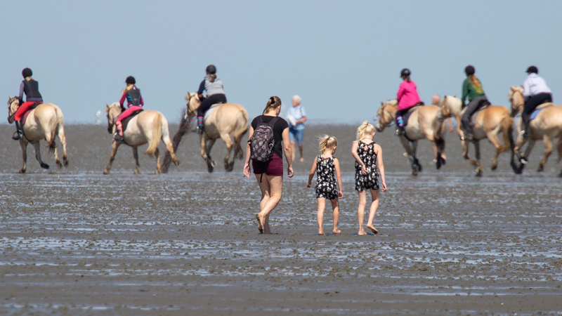 Urlaub im Sattel im Nordseeheilbad Cuxhaven