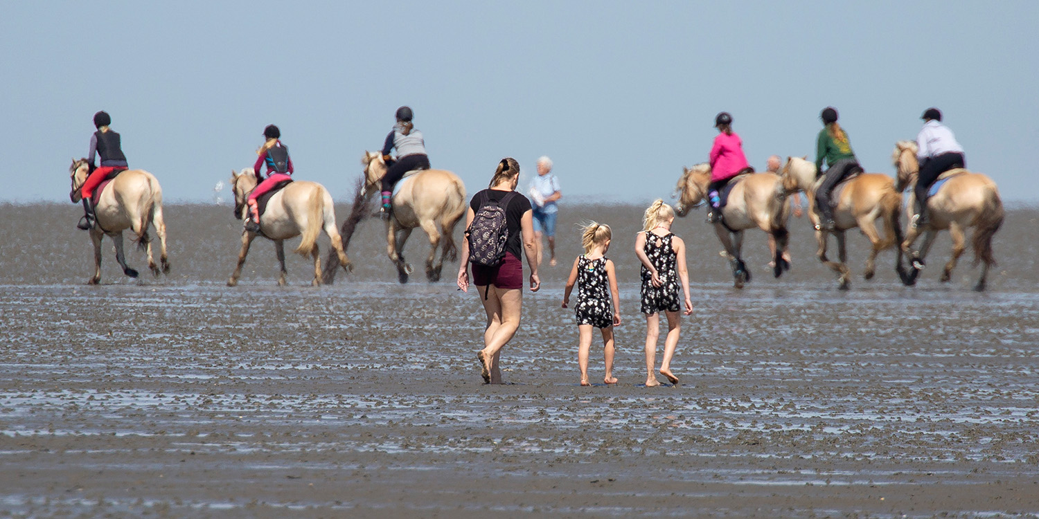 Urlaub im Sattel im Nordseeheilbad Cuxhaven