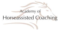 Ausbildung zum pferdegestützten Coach
