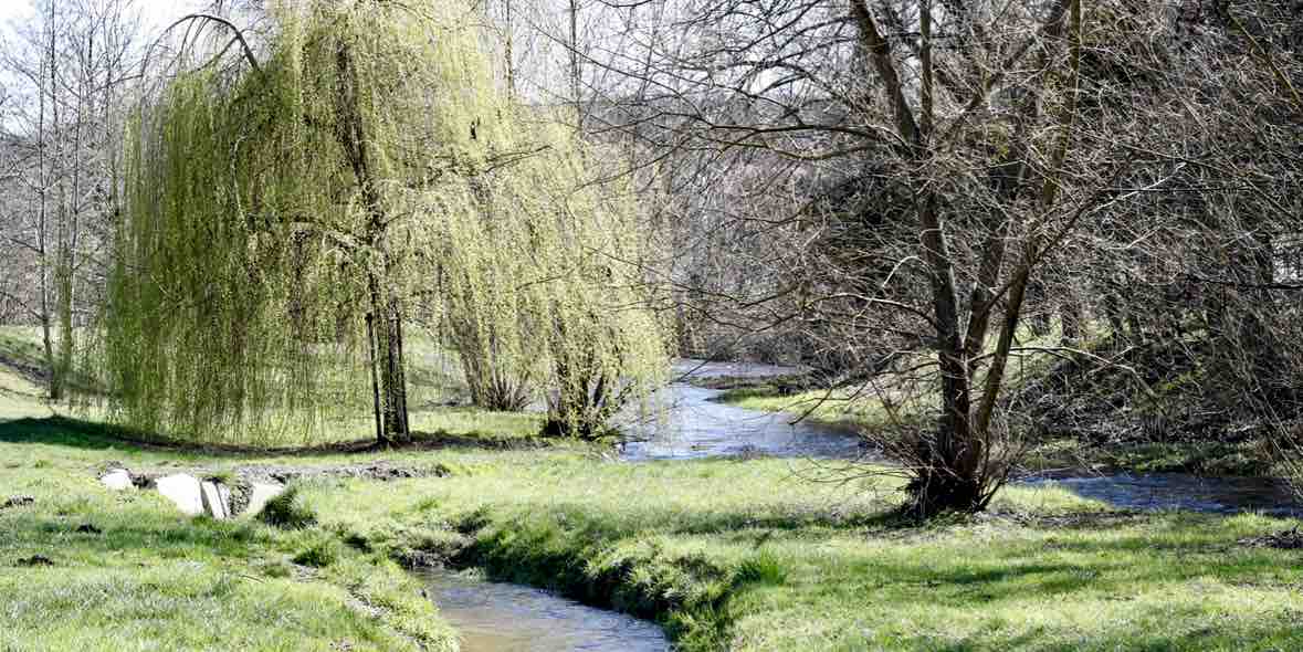 Heuschnupfen mit Augentropfen lindern