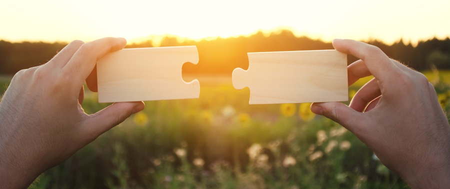 Ostangler Brandgilde erweitert „grüne Produktfamilie“ um nachhaltige Wohngebäudeversicherung