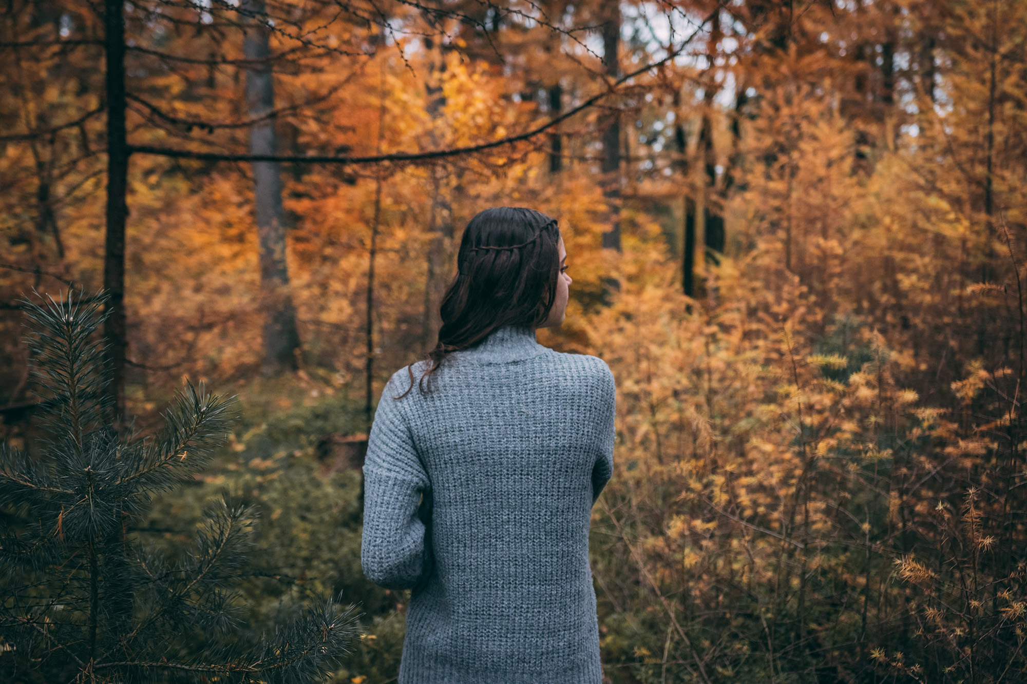 Stressabbau durch entspannte Herbstspaziergänge