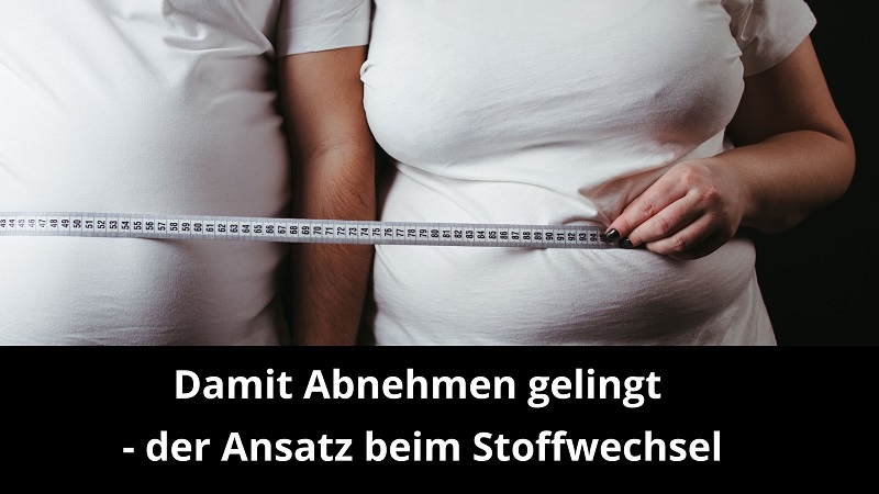 Damit das Abnehmen gelingt – der Ansatz beim Stoffwechsel