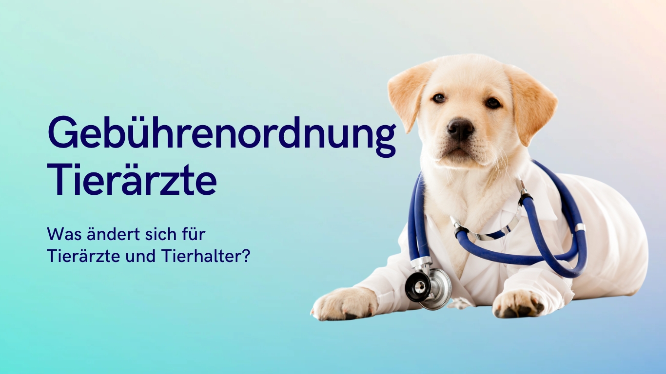 Die neue Gebührenordnung für den Fortbestand von Tierarztpraxen