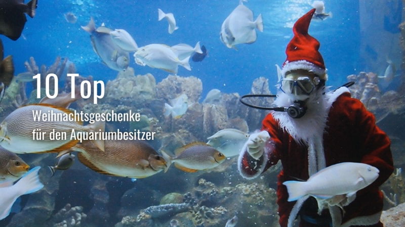 10 Top Weihnachtsgeschenke für den Aquariumbesitzer