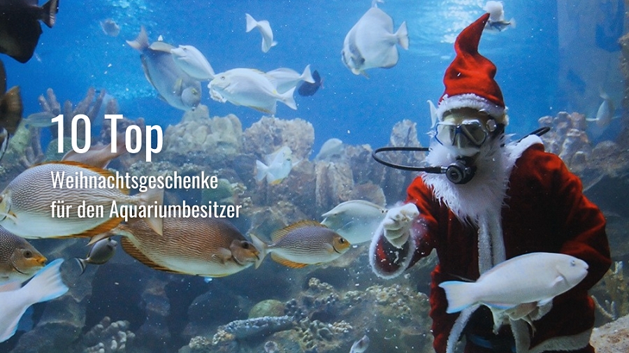 10 Top Weihnachtsgeschenke für den Aquariumbesitzer