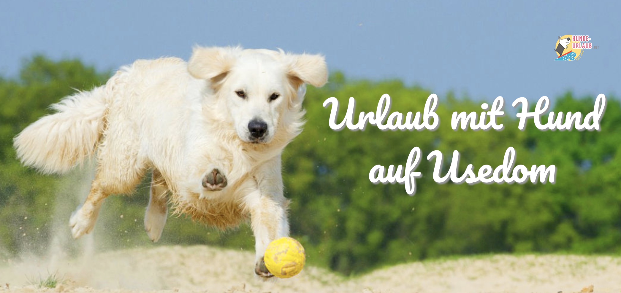 Traumhafter Herbst Urlaub mit Hund auf Usedom