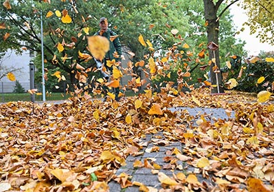 Herbst: Wer muss Bürgersteig vom Laub freimachen?