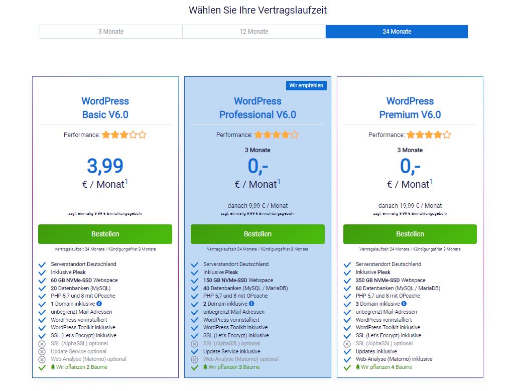 Performantes und einsteigerfreundliches WordPress Hosting von DM Solutions