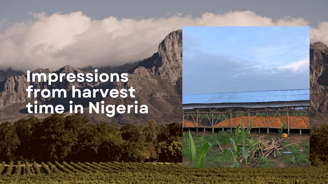 Farm GrowExpress Ltd. – Impressions from harvest time in Nigeria, by Dr. Thomas Schulte, Berlin