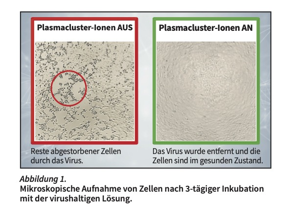 EIN MUSS IN DER GRIPPESAISON: DIE KLIMAGERÄTE VON SHARP