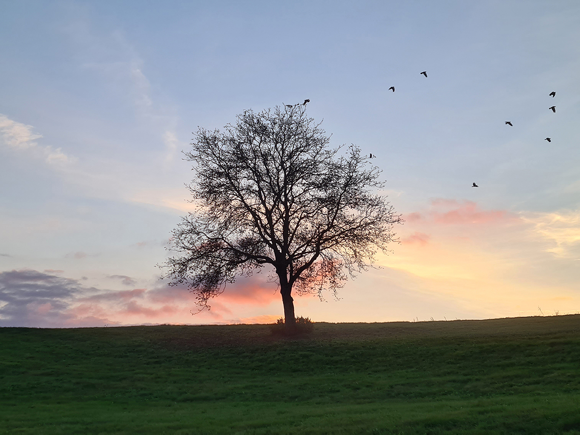 Licht in dunkler Nacht – Trost im Trauermonat November