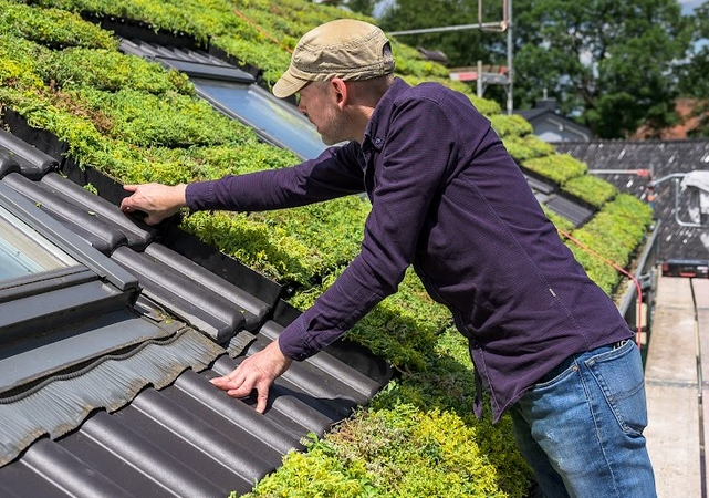mygreentop präsentiert Erweiterung der Produktfamilie
