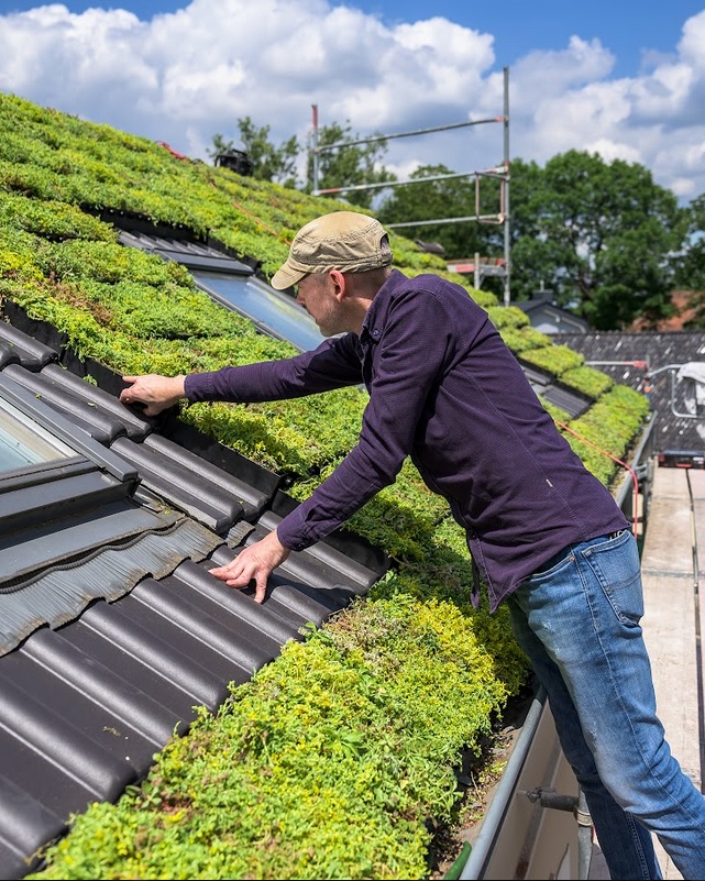 mygreentop präsentiert Erweiterung der Produktfamilie