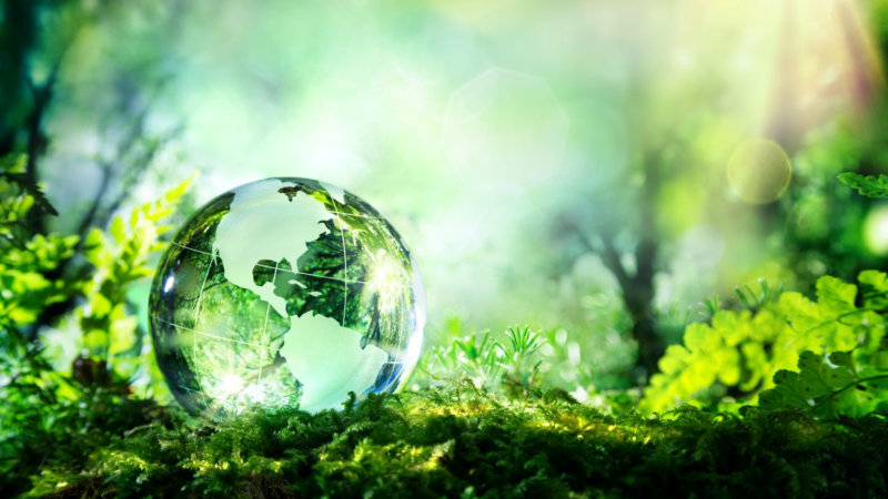 Dow Jones Sustainability World Index kürt Brambles zum Branchenführer in seiner Kategorie