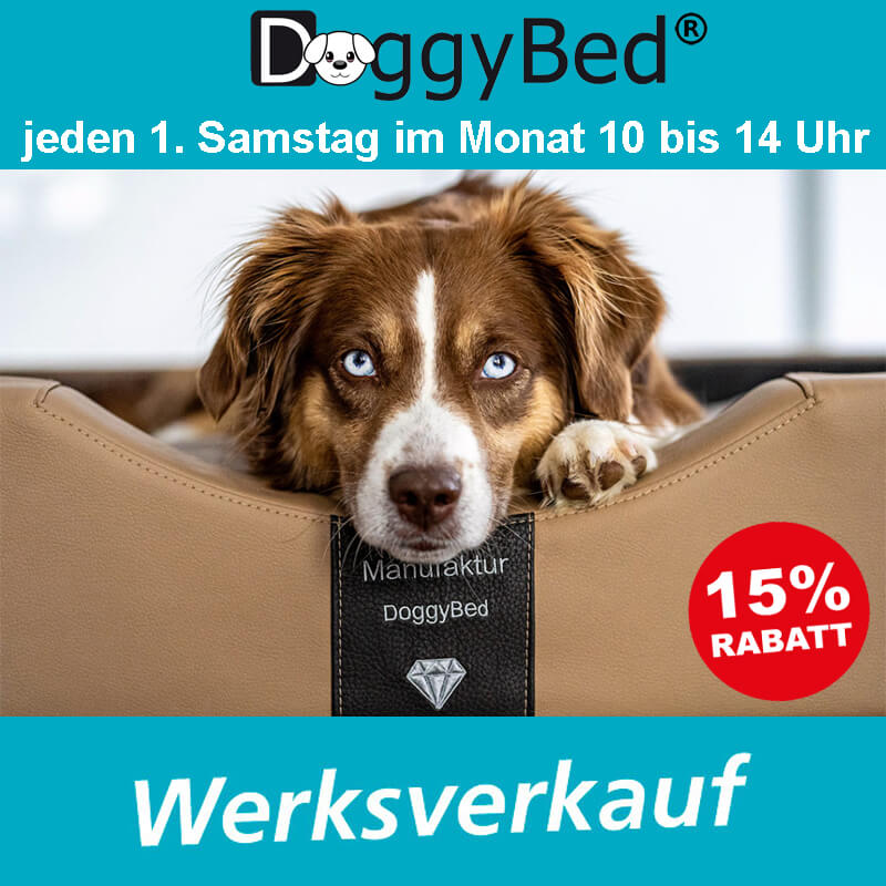 DoggyBed Werksverkauf in Lünen