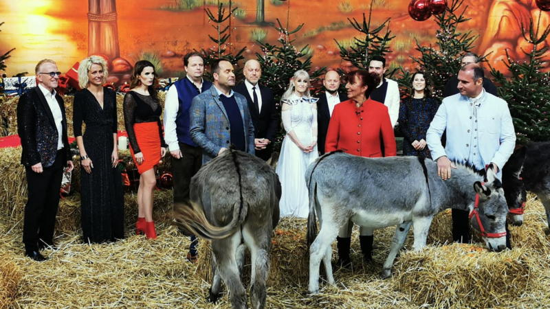 Weihnachtsshow der geretteten Tiere