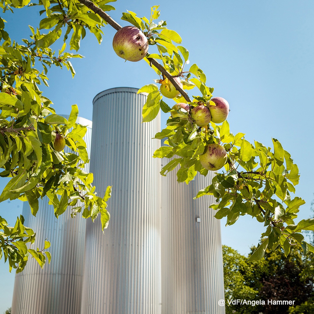 Fruchtsafthersteller keltern 382 Mio. Liter Apfelsaft