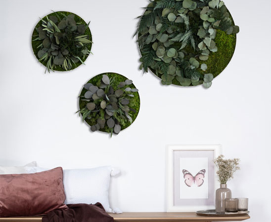 Runde Wandgärten für mehr Natur im Wohnzimmer