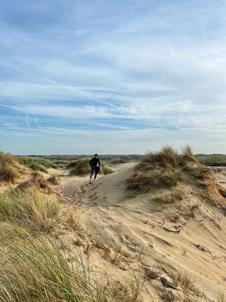 Strandreservat Noordvoort: Einzigartiges Ruhegebiet ans Zandvoorts Küste