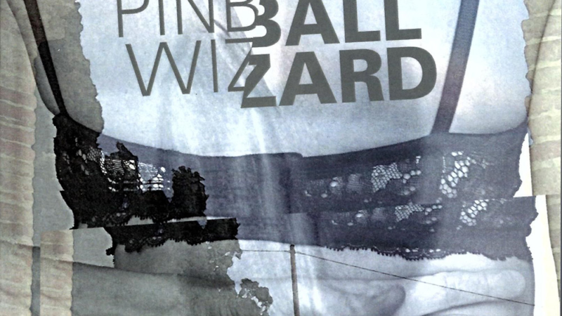 „Pinball Wizard“: Der neue Roman von Michael D. Meloan