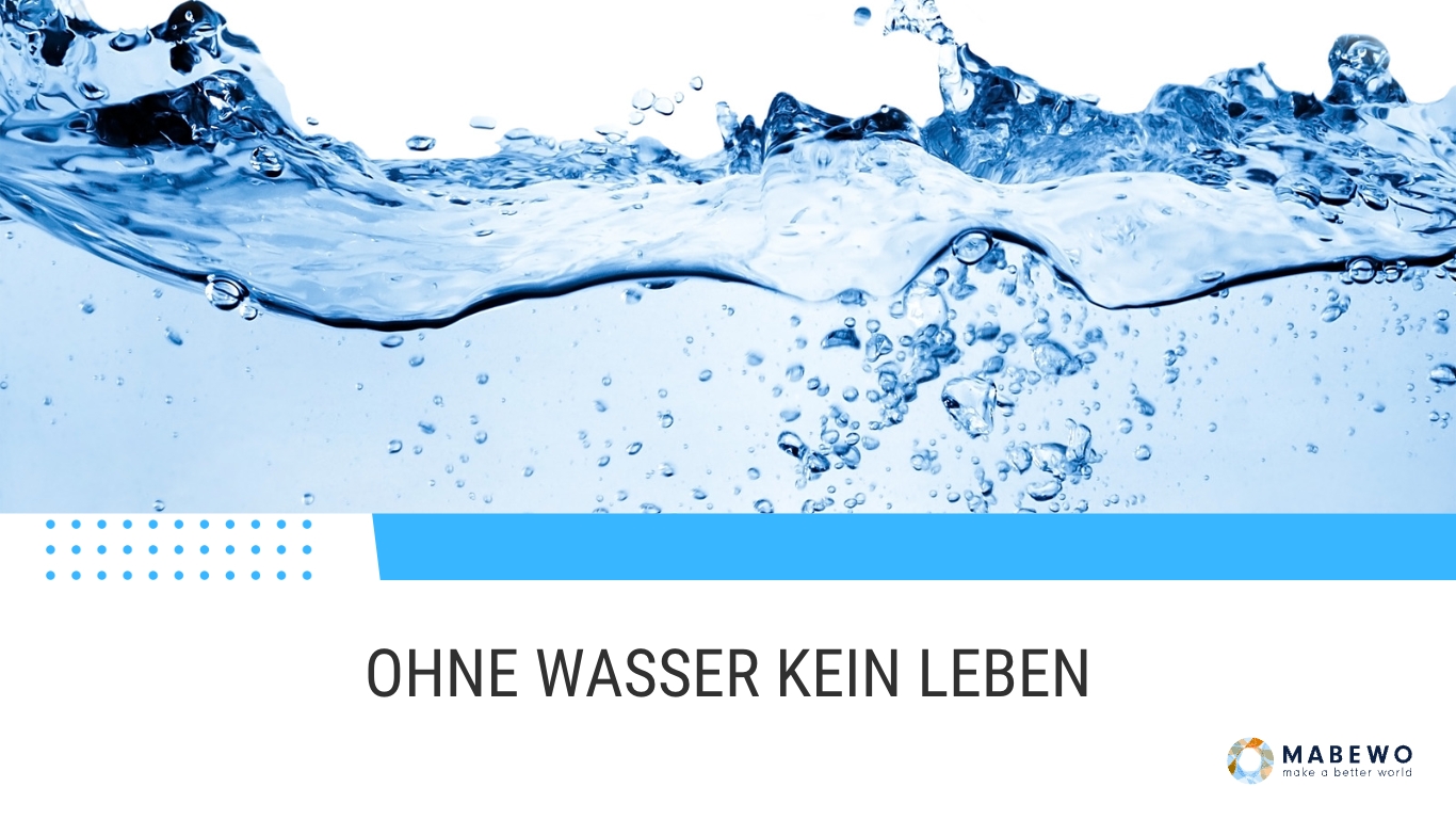 Ohne Wasser kein Leben