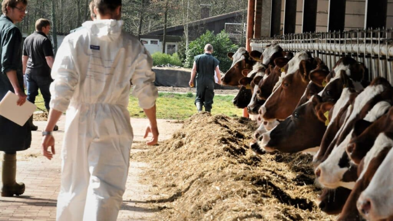 Fütterungscontrolling im Milchkuhbetrieb: Das einzigartige AVA-Fortbildungskonzept für Tierärzte und Landwirte