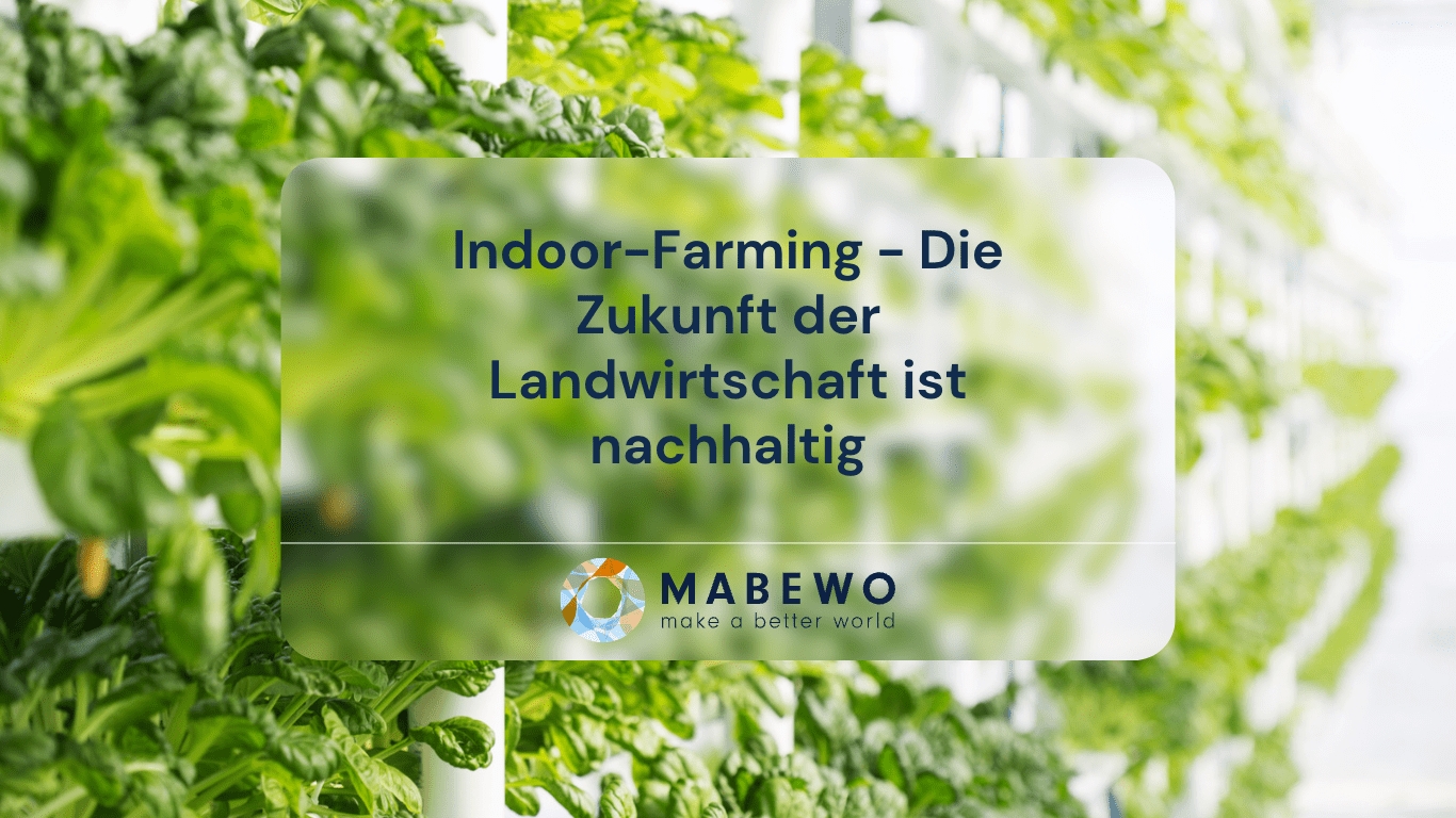 Indoor-Farming – Die Zukunft der Landwirtschaft ist nachhaltig