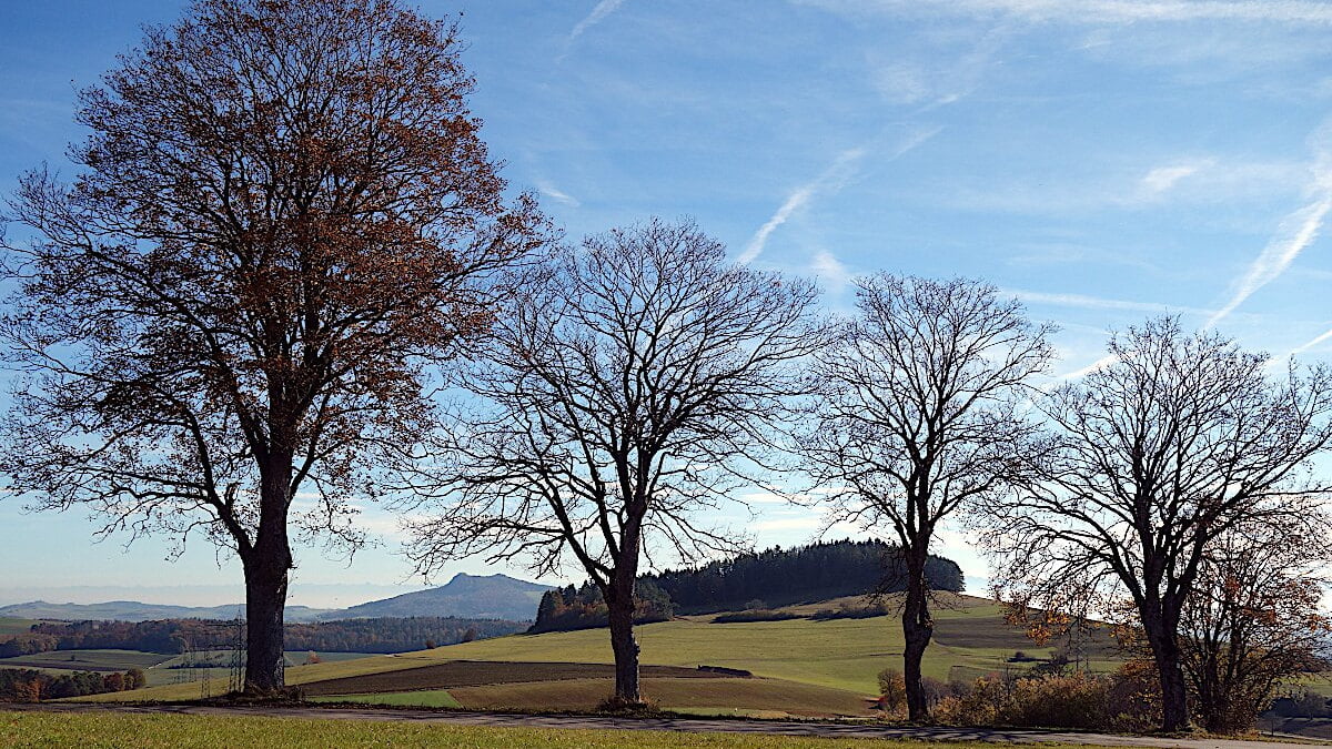 Founder Walks – Bei Spaziergängen Geschäftsideen finden