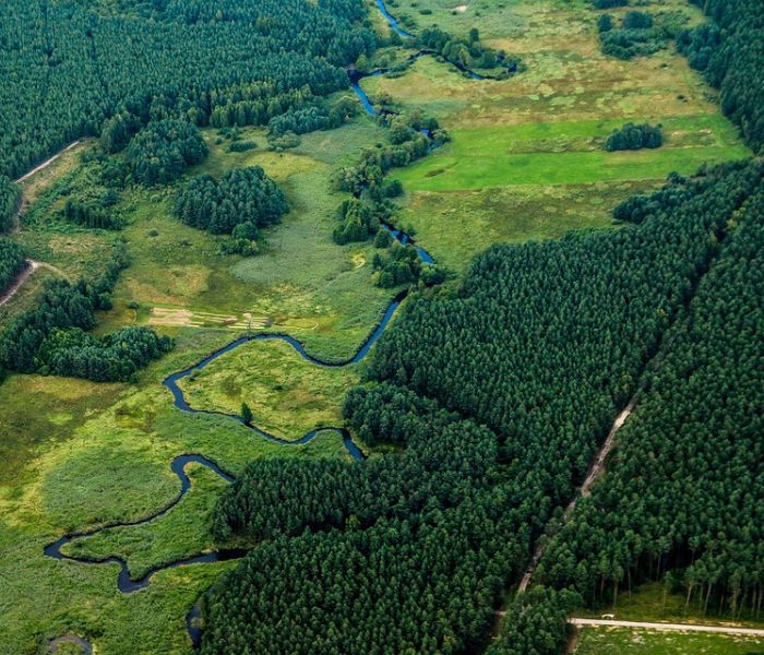 CollectiveCrunch Announces New Solution that Monitors and Tracks Forest Biodiversity and Carbon Storages in Near Real-Time
