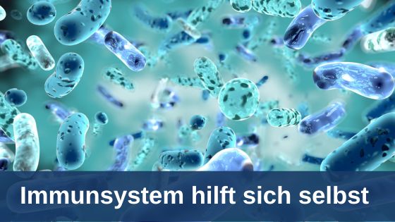 Immunsystem hilft sich selbst