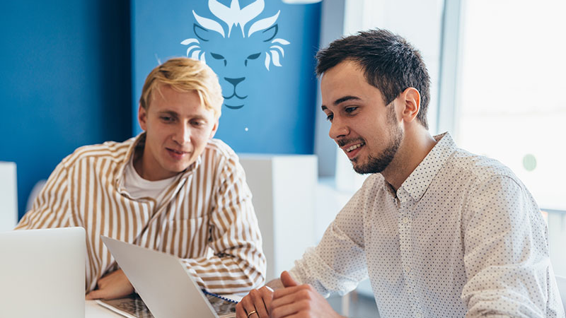 Website erstellen lassen Hamburg