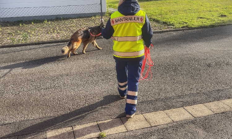 Suchhundestaffel etabliert