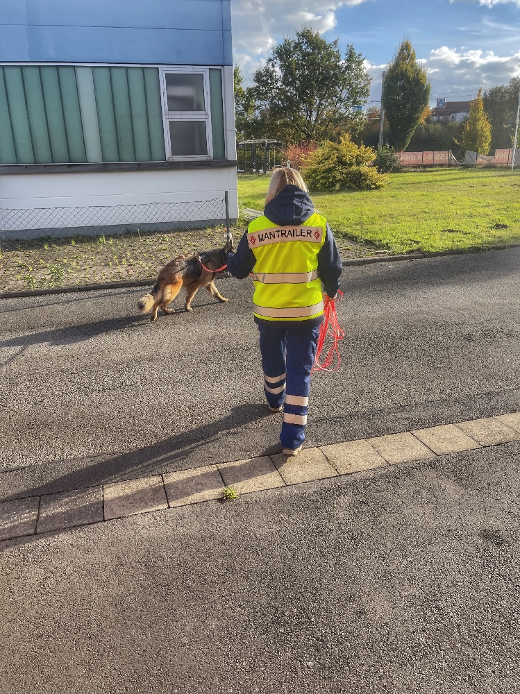 Suchhundestaffel etabliert