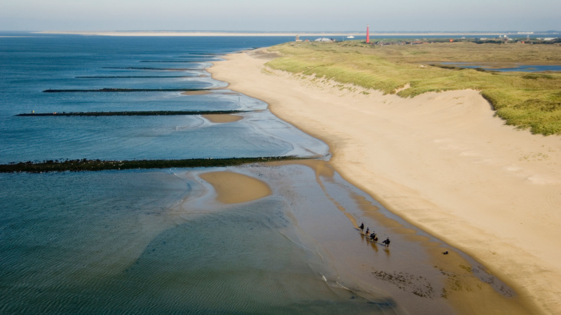 Pferde, Meer und große Freiheit: