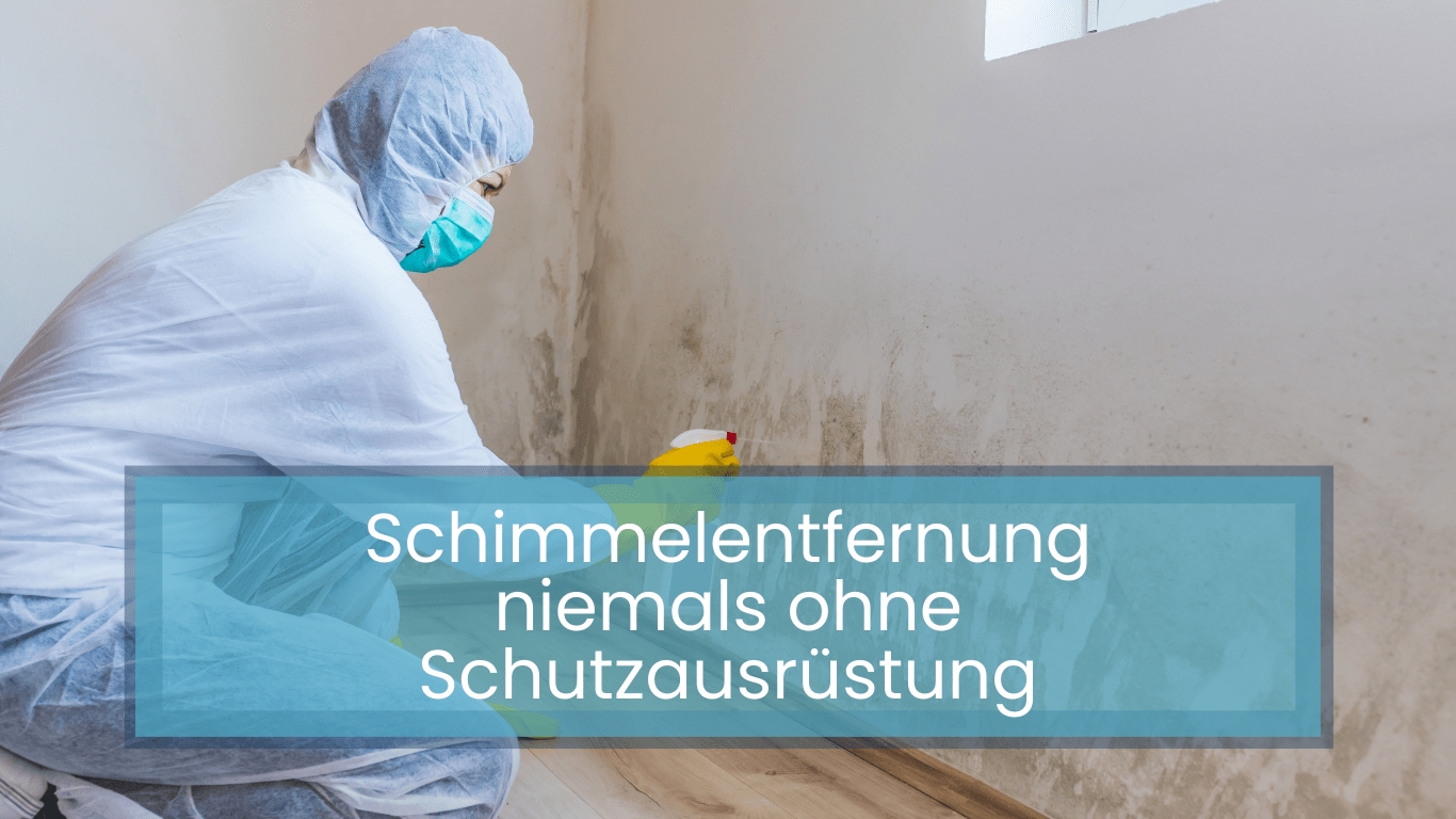 Schimmelentfernung niemals ohne Schutzausrüstung