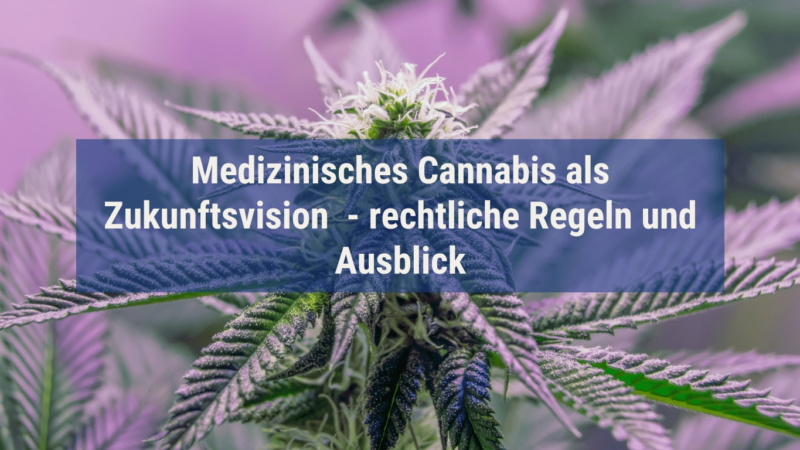 Medizinisches Cannabis als Zukunftsvision  – rechtliche Regeln und Ausblick