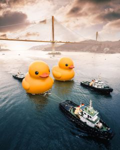 In Hongkong sind die (Gummi-)Enten los