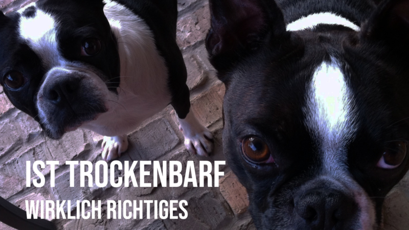 Ist Trockenbarf wirklich BARF Hundefutter oder Marketing?