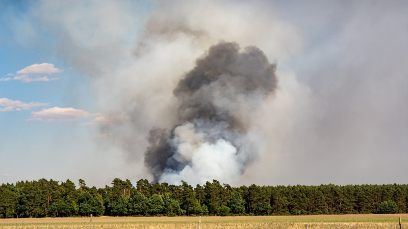 Feuer verboten: Hohe Bußgelder zum Schutz des Waldes