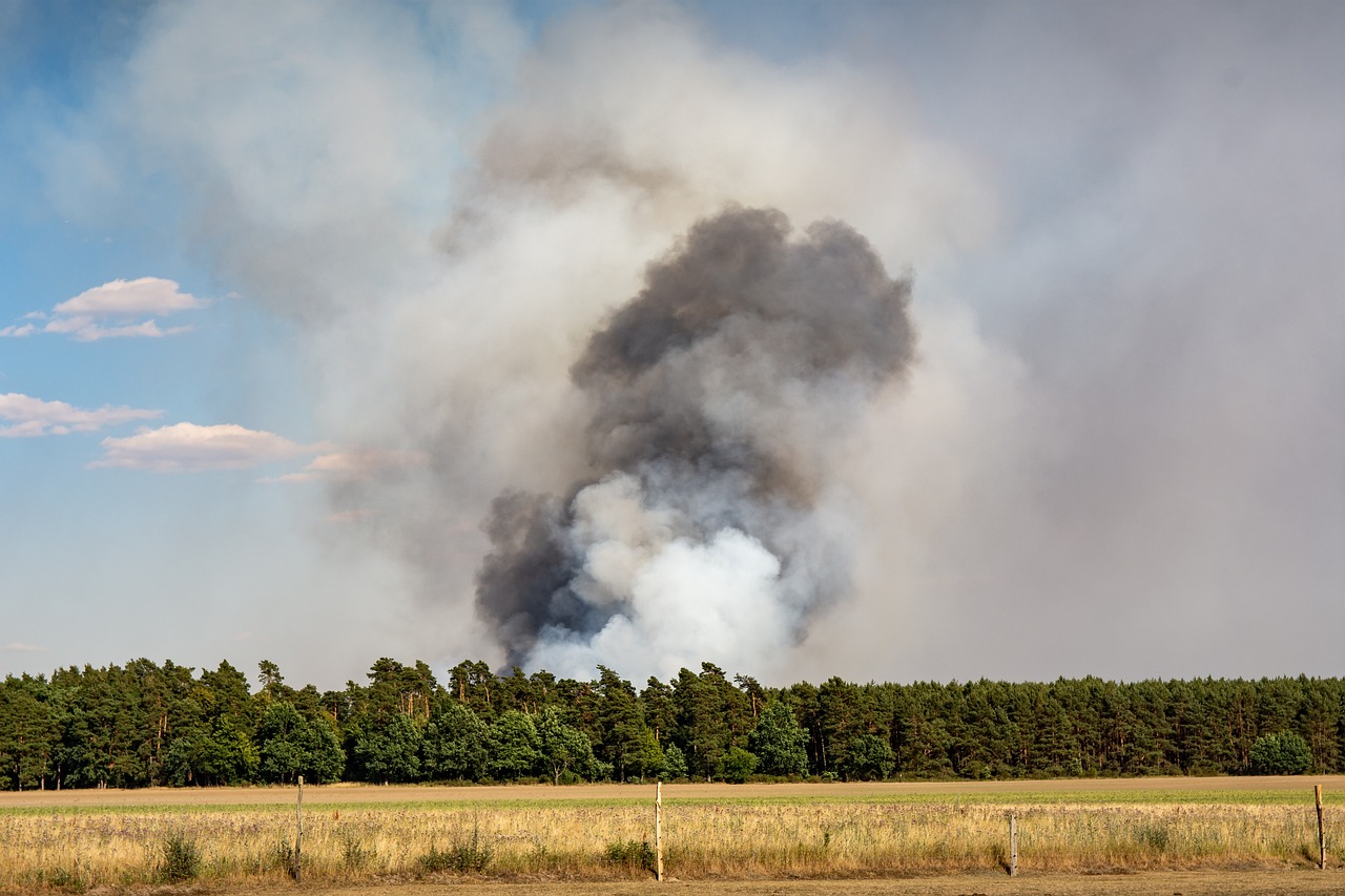 Feuer verboten: Hohe Bußgelder zum Schutz des Waldes