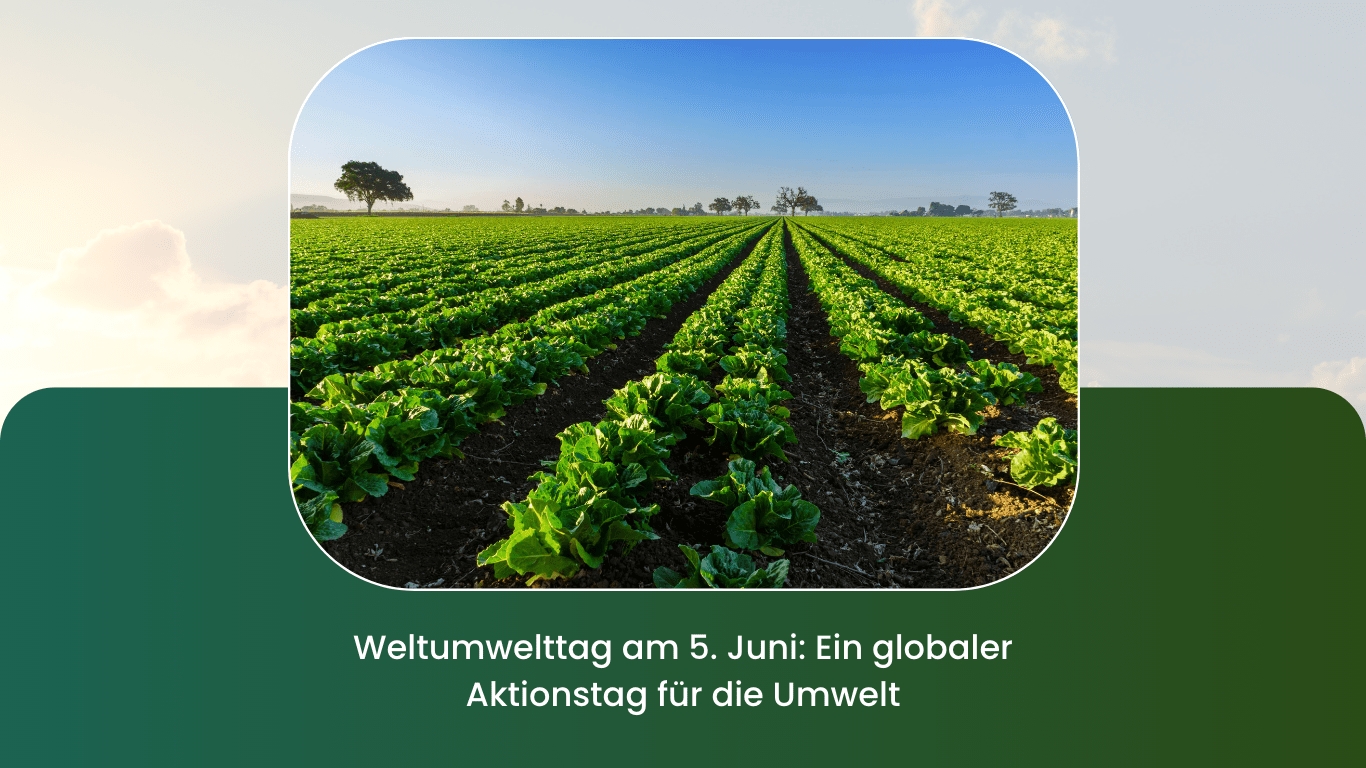 Weltumwelttag am 5. Juni: Ein globaler Aktionstag für die Umwelt