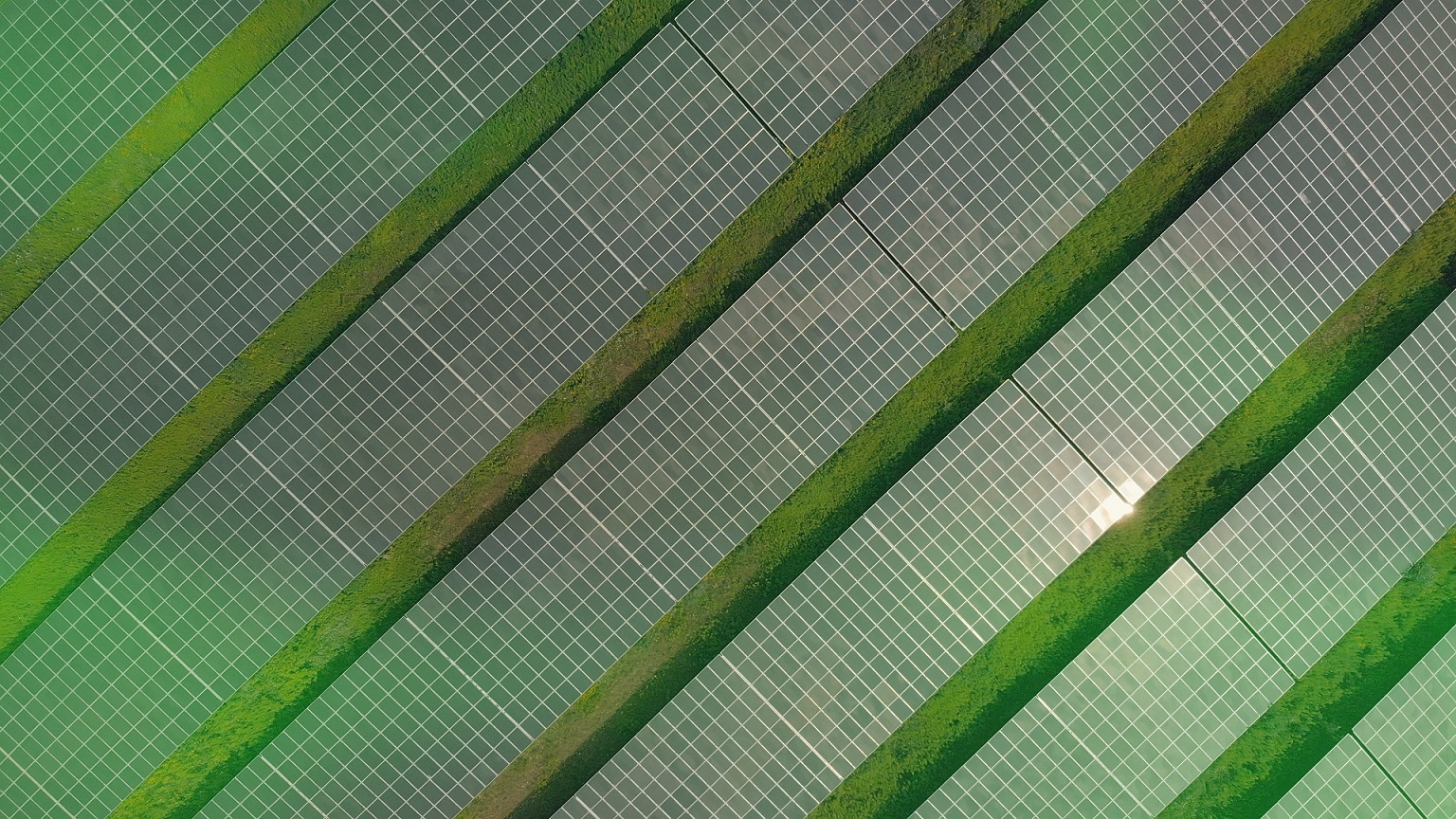 eprimo Solarstrom für die preiswerte Energiewende zu Hause