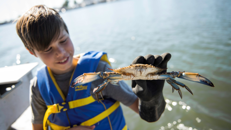 Chesapeake Bay Storytellers: Besondere Touren rund um die größte Flussmündung der USA