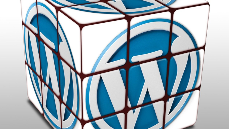 Darum solltest Du Deine Webseite mit WordPress bauen