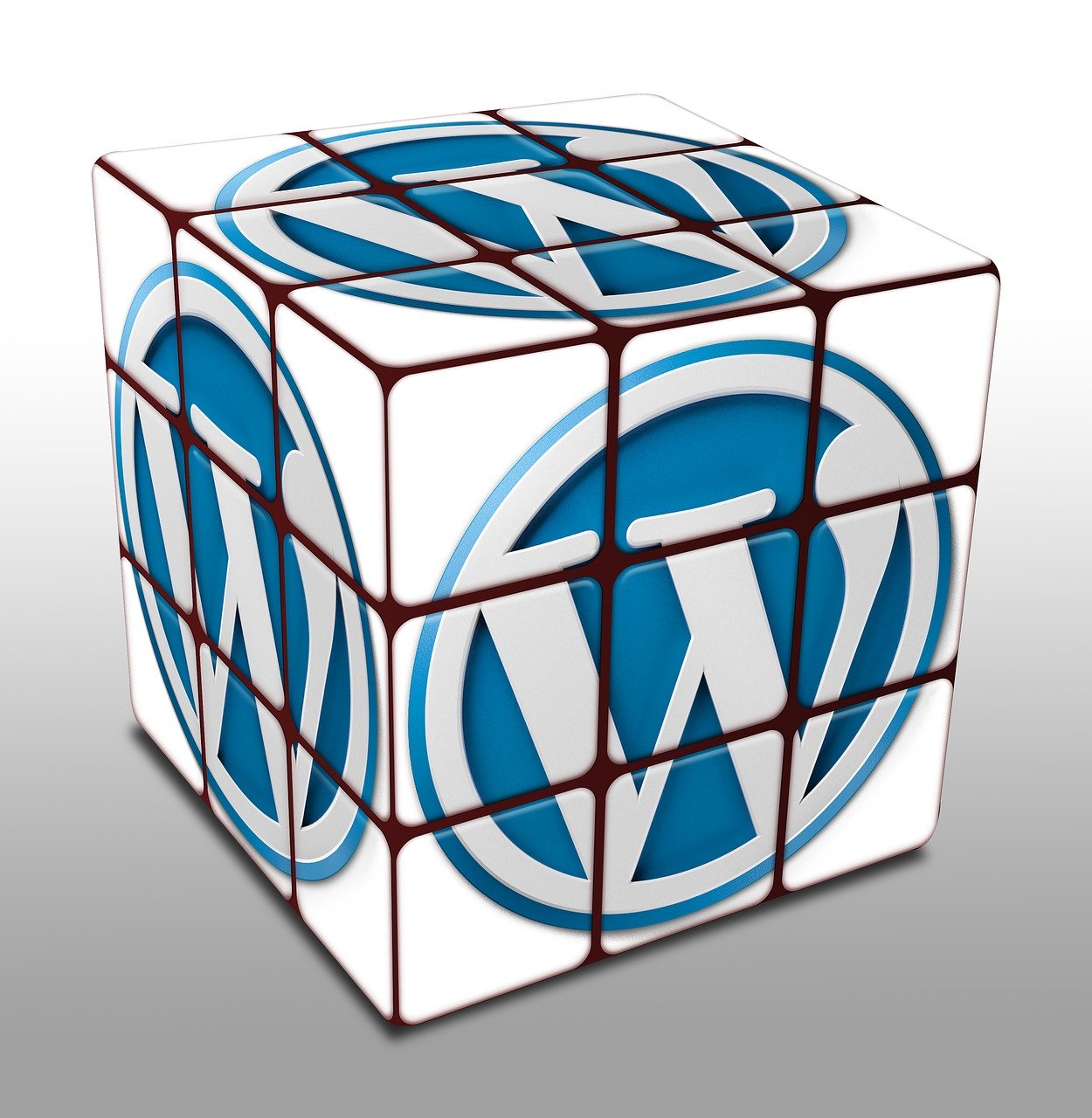 Darum solltest Du Deine Webseite mit WordPress bauen